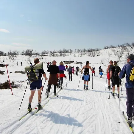 Апартаменты With Sauna And In Out